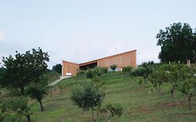 Szegzard - The Lodge